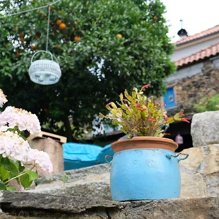Casa Do Engenho Holiday home